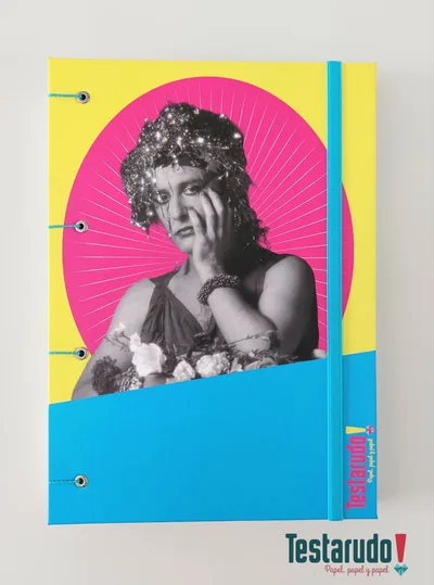 cuaderno copta Testarudo con tapa de Urdapilleta, vista frontal