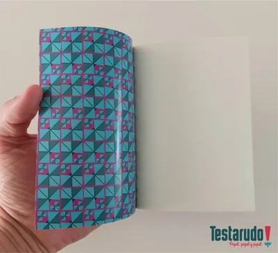 libreta Testarudo con tapa de Woolf, otra vista