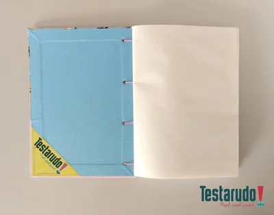 Sauce — cuaderno copta Testarudo, apoyada de costado