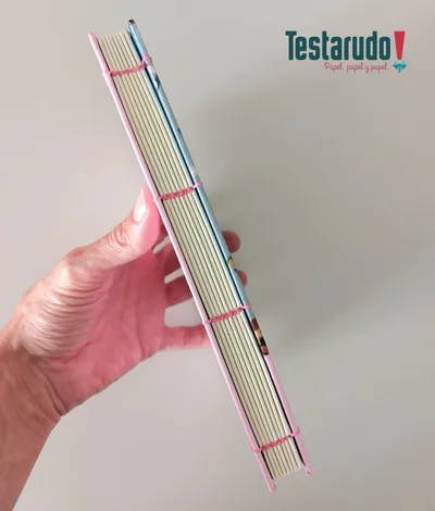 Sauce — cuaderno copta Testarudo, otra vista