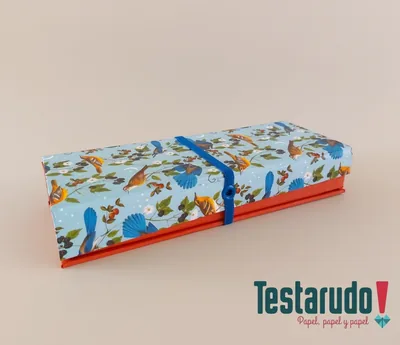 Testabox 3 — testabox Testarudo, vista frontal