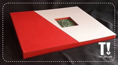 Cajas contenedoras — trabajo especial Testarudo, apoyada de costado