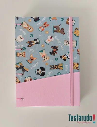 Sauce — cuaderno copta Testarudo, vista frontal