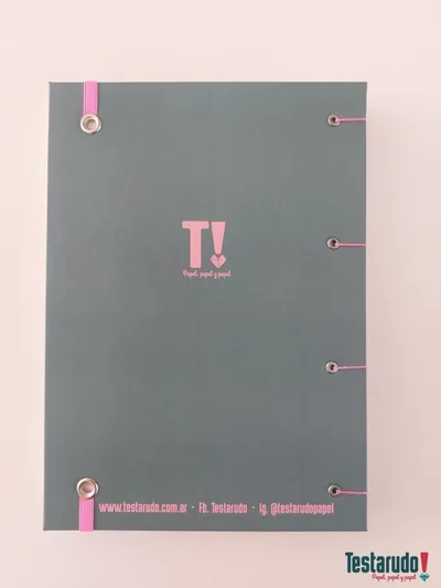 cuaderno copta Testarudo con tapa de Britney Spears, otra vista