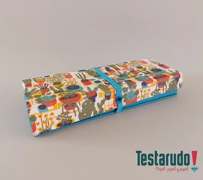 Testabox 2 — testabox Testarudo, vista frontal