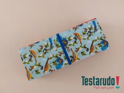 Testabox 3 — testabox Testarudo, apoyada de costado