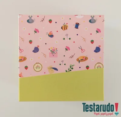 Caja 2 — caja forrada Testarudo, otra vista