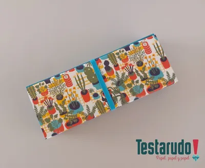 Testabox 2 — testabox Testarudo, apoyada de costado