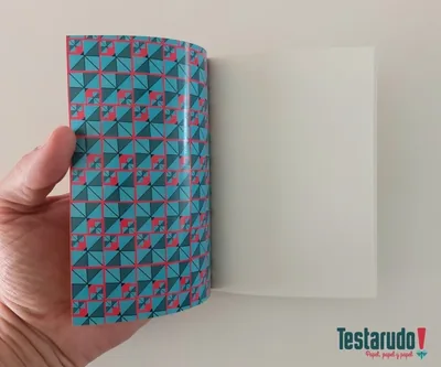 libreta Testarudo con tapa de Pizarnik, apoyada de costado