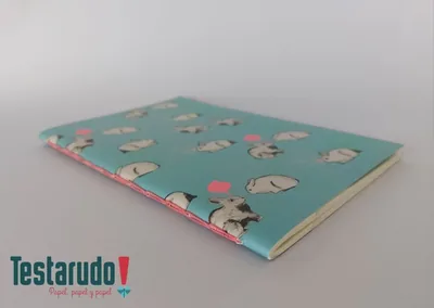 Cuaderno tapa blanda 4 — cuaderno tapa blanda Testarudo, apoyada de costado